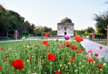 Guida all’acquisto: come scegliere la migliore auto elettrica per le tue esigenze personali