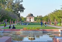 Guida all’acquisto auto elettriche sportive: i consigli per una scelta consapevole