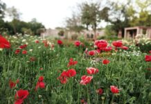 Guida all’acquisto di una stazione di ricarica domestica: consigli e recensioni per una scelta informata