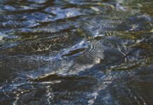 Tutto quello che devi sapere sulla sostituzione del liquido refrigerante