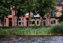 Consigli manutenzione: Come preservare la batteria dell’auto elettrica e prolungarne la durata nel tempo