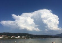 Ideas and Events for Eco-Friendly Themes: Join the Sustainable Movement!