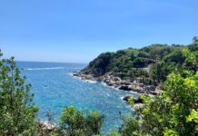 Confronto auto elettriche vs auto a gas: recensione completa