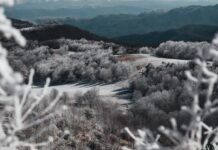 8 consigli per evitare l’usura prematura dei pneumatici: la guida definitiva