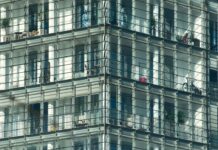 Gli approfondimenti sull’impatto ambientale delle auto elettriche: scopri tutti i dettagli