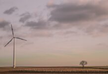 Scopri i vantaggi ecologici delle auto elettriche