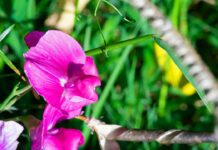 5 consigli top per la manutenzione perfetta: ecco cosa devi sapere!