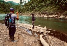 Guida all’acquisto di auto elettriche per privati: le migliori guide all’acquisto