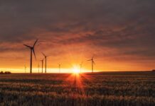 L’impatto ambientale delle auto elettriche: una comparazione con le auto tradizionali