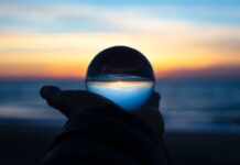 Gli sviluppi futuri delle auto elettriche: prospettive e innovazioni