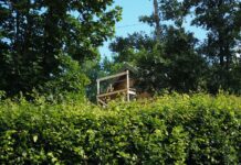 Consigli per la manutenzione e la conservazione dell’efficienza energetica delle auto elettriche: le migliori pratiche