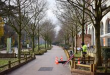 Consigli per la manutenzione e la durata della batteria delle auto elettriche: come preservarla nel lungo termine