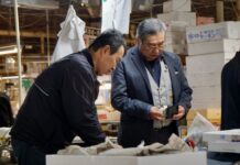 Guida all’acquisto: Come scegliere l’auto elettrica ideale per te