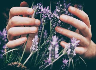 Impatto delle auto elettriche sull’industria del petrolio e del gas: una rivoluzione energetica in corso