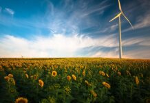 L’efficienza energetica delle auto elettriche: vantaggi rispetto alle auto a combustione interna