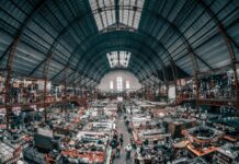 12 Novità di mercato: Le ultime auto elettriche presenti sul mercato