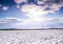 Impatto ambientale delle auto elettriche: un approfondimento completo