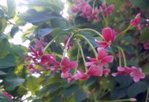 Consigli per la manutenzione e la cura della carrozzeria delle auto elettriche: tutto quello che devi sapere