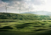 Scopri le migliori app per gestire la ricarica e il consumo energetico dell’auto elettrica