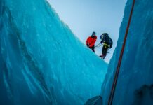 Guida all’acquisto: come scegliere il prodotto giusto