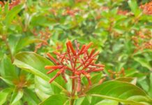 Consigli per la manutenzione della batteria: come prolungare la durata dell’autonomia nel tempo