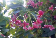 Consigli e migliori pratiche per una corretta manutenzione preventiva