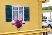 Sicurezza delle auto elettriche: i must-have dei sistemi di protezione