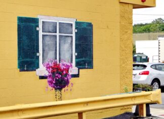 Scopri i vantaggi delle auto elettriche: tutto quello che devi sapere