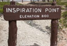 Impatto ambientale delle auto elettriche: i vantaggi rispetto a quelle tradizionali