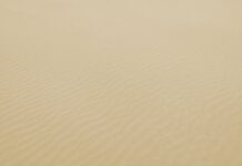 Guida all’acquisto di auto elettriche usate: cosa controllare prima di procedere all’acquisto