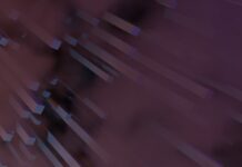 Guida all’acquisto di auto elettriche: scopri le migliori offerte sul mercato