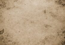 Guida all’acquisto di un’auto elettrica usata: vantaggi e svantaggi da conoscere