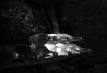 Gli effetti delle auto elettriche sulla rete energetica mondiale: approfondimenti e analisi