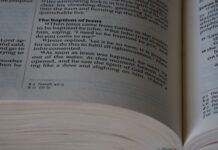 Guida all’acquisto: come trovare il miglior carica batterie per auto elettriche