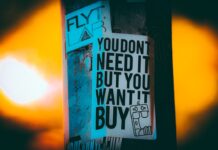 Guida all’acquisto: 10 criteri da valutare per scegliere la migliore assicurazione per un’auto elettrica