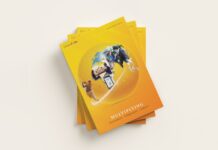 Guida all’acquisto delle migliori auto elettriche disponibili: modelli top sul mercato