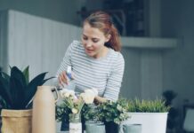 Consigli manutenzione: scopri i migliori prodotti per la pulizia delle auto elettriche!