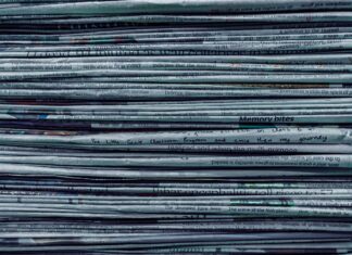 Notizie: Scopri i Nuovi Modelli di Auto Elettriche in Arrivo nel 2022