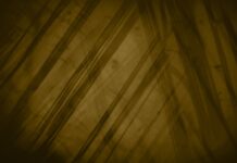 Guida all’acquisto: Come scegliere la migliore auto elettrica per le tue esigenze