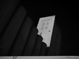 Guida all’acquisto di un’auto elettrica usata: consigli e suggerimenti fondamentali