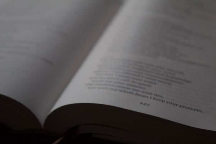 Guide all'acquisto|I fattori da considerare prima di acquistare un'auto elettrica