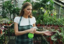 5 consigli per la manutenzione e protezione della carrozzeria delle auto elettriche