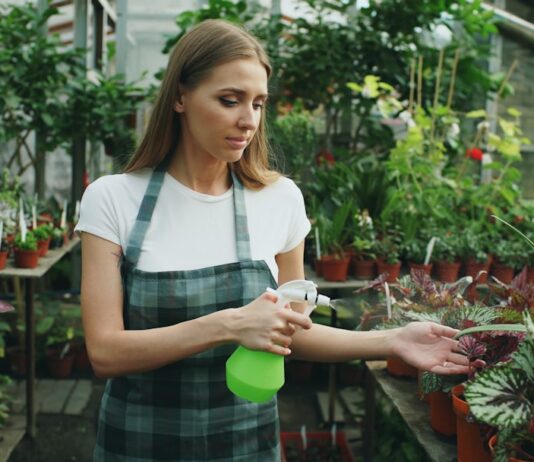 Consigli manutenzione: scopri i migliori prodotti per pulire le auto elettriche