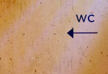 Guida all’acquisto di auto elettriche per viaggi lunghi: le migliori opzioni sul mercato