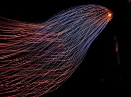 Elettriche vs Tradizionali: Scopri i Vantaggi e gli Svantaggi delle Auto Elettriche