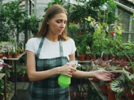 Consigli per la manutenzione dell’impianto frenante delle auto elettriche: come effettuarla correttamente