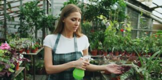 10 consigli per proteggere l’auto elettrica dal freddo in inverno: guidare in sicurezza e massimizzare le prestazioni