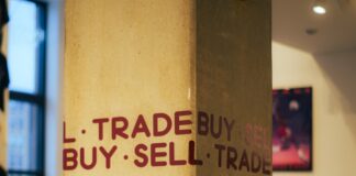 Guida all’acquisto di auto elettriche: come scegliere il modello perfetto per te