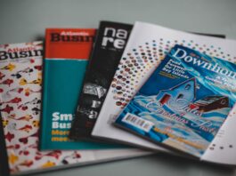 Guida all’acquisto di un’auto elettrica per principianti: consigli e informazioni utili