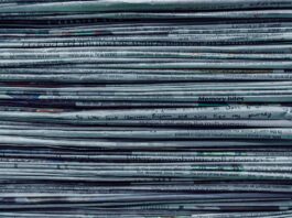 Scopri le ultime notizie e interviste esclusive nel mondo delle auto elettriche